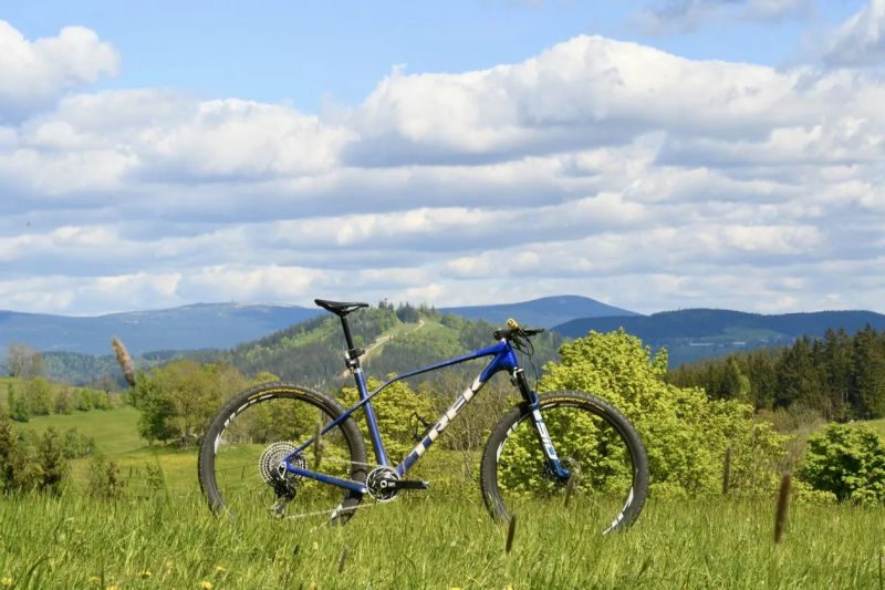 Trek Procaliber