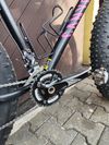 Mongoose argus