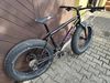 Mongoose argus