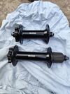 Mongoose argus