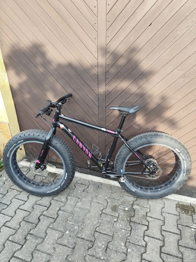 Mongoose argus