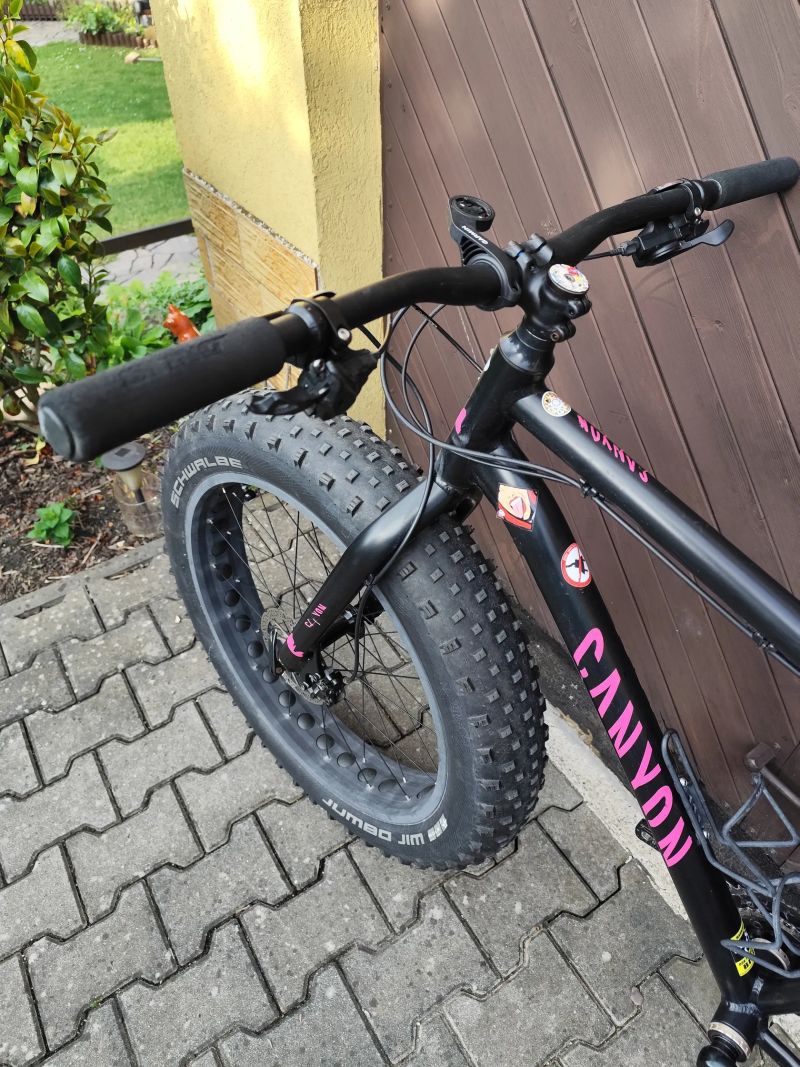 Mongoose argus