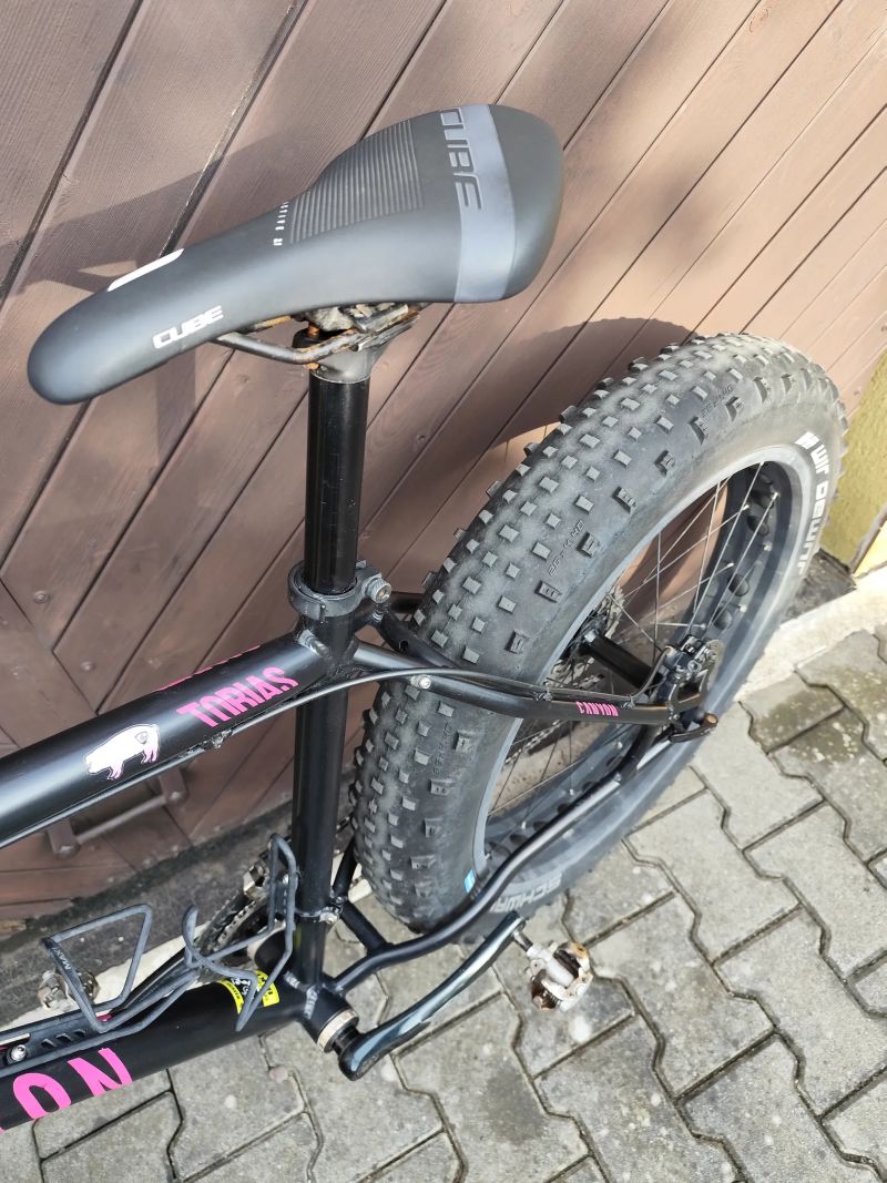 Mongoose argus