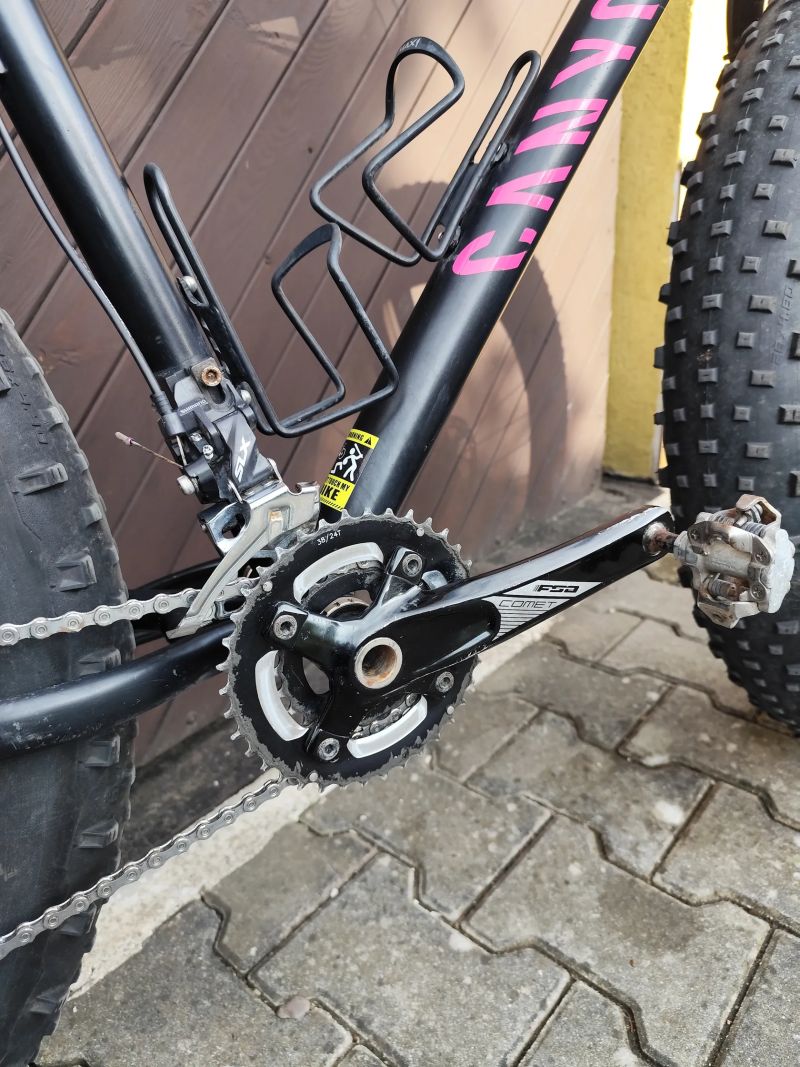 Mongoose argus