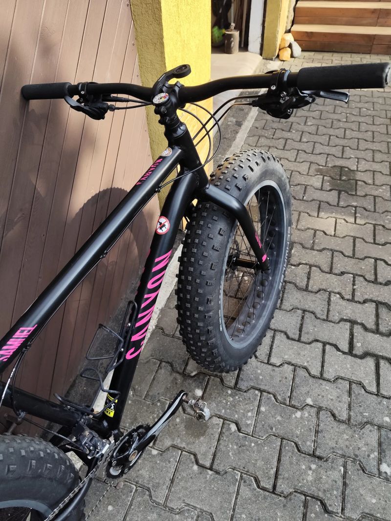 Mongoose argus