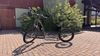 Kostka MUSHING MAX G6