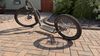 Kostka MUSHING MAX G6