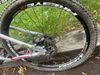 GT Aggressor Expert