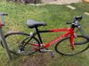 Prodoli PDI999
