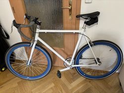 Single speed - městské kolo 