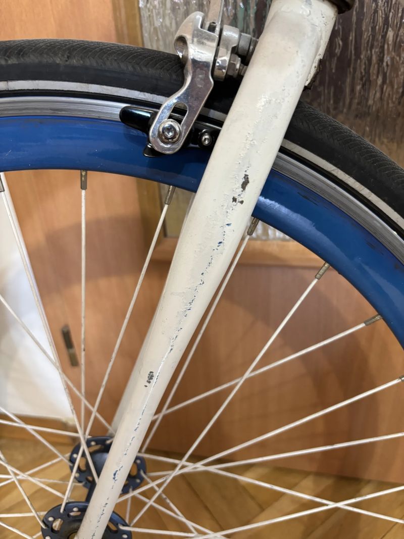 Single speed - městské kolo 