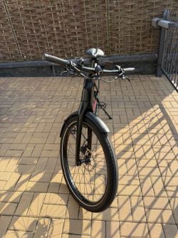 Trek Alant 9.9