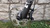 Canyon Neuron CF 8 (2024)