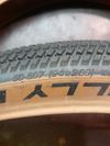 Schwalbe