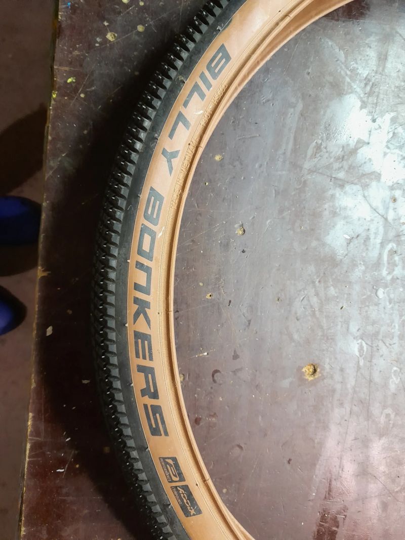 Schwalbe