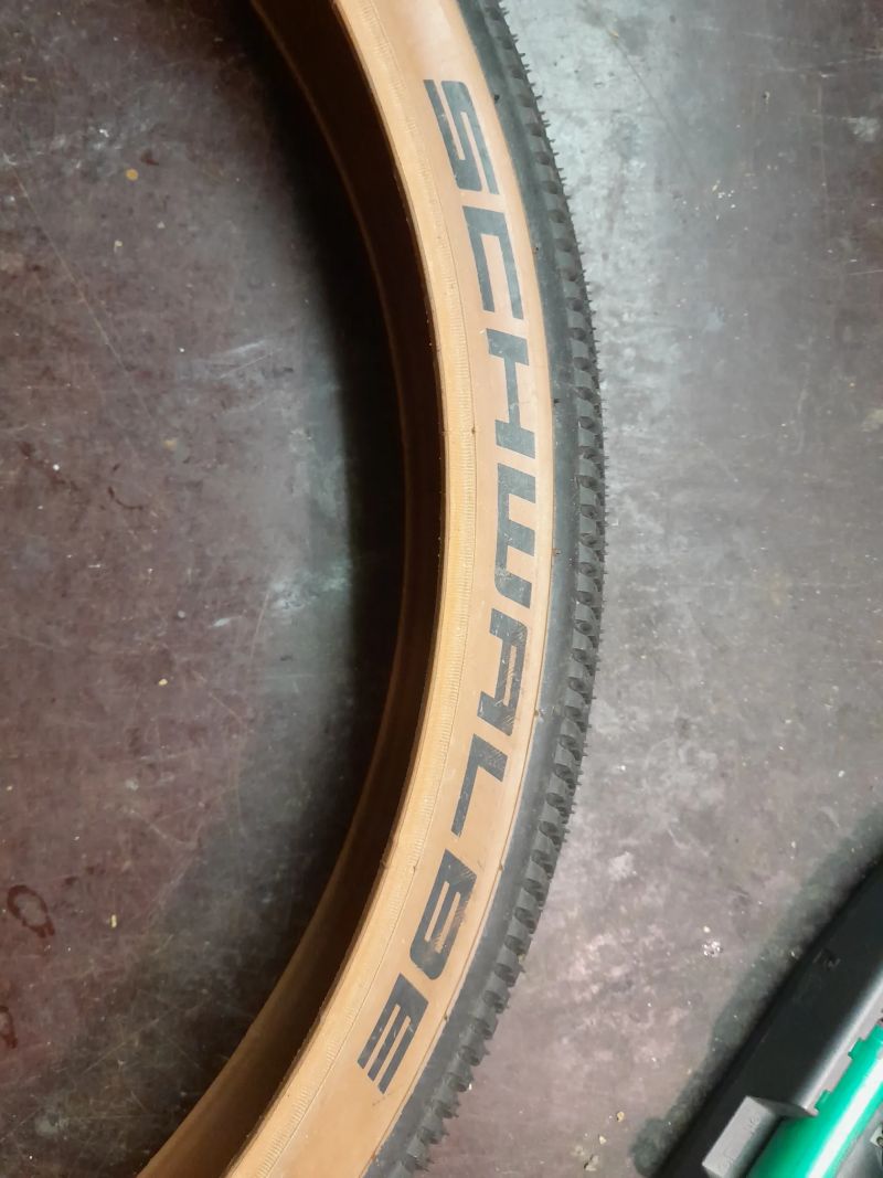 Schwalbe