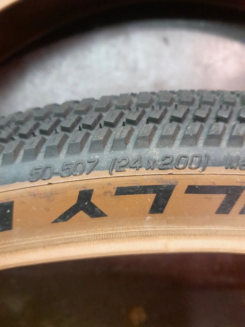 Schwalbe