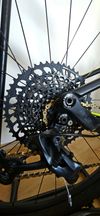 Scott Spark RC900