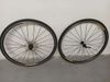 Trek Domane