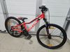 Kellys KITER 50