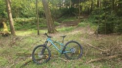 GT Zaskar Comp