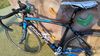 Focus IZALCO MAX