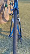 Focus IZALCO MAX