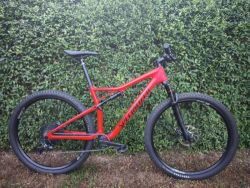 Specialized Epic L