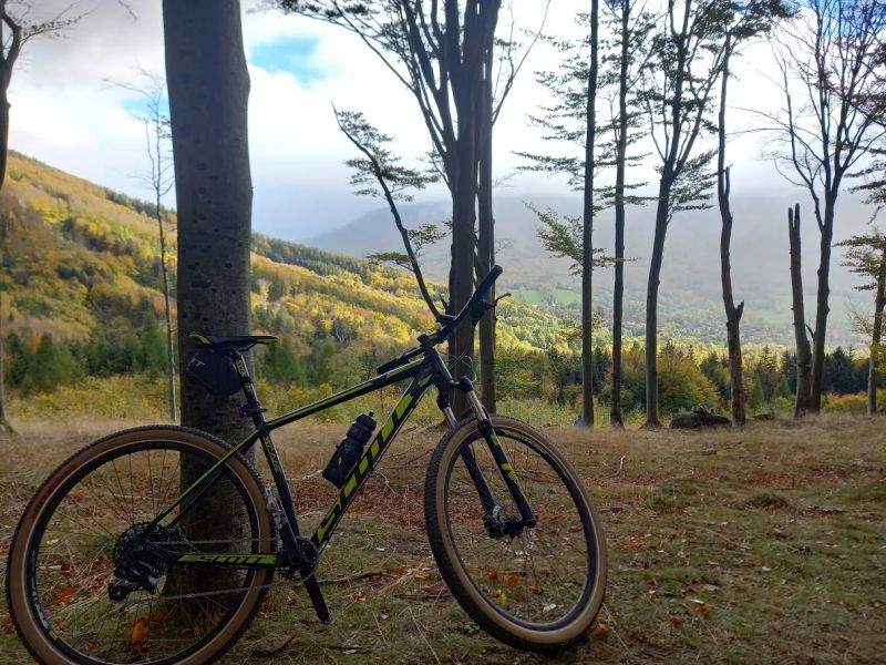 Scott scale 980