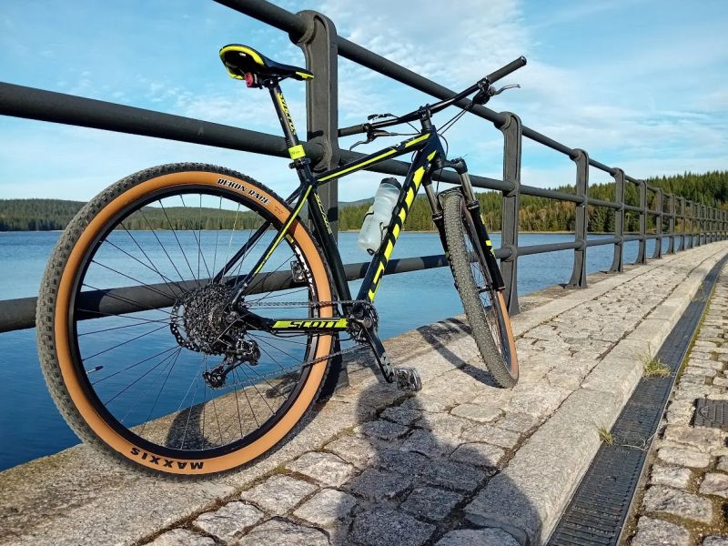 Scott scale 980