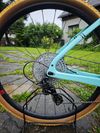 Bianchi Arcadex