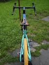 Bianchi Arcadex