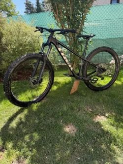 Trek Roscoe 7