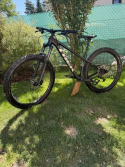 Trek Roscoe 7
