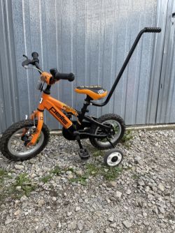 Pells Tiger