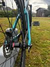 CTM Dirtking Xpert