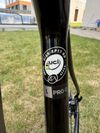 Giant TCR