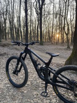 Trek Slash