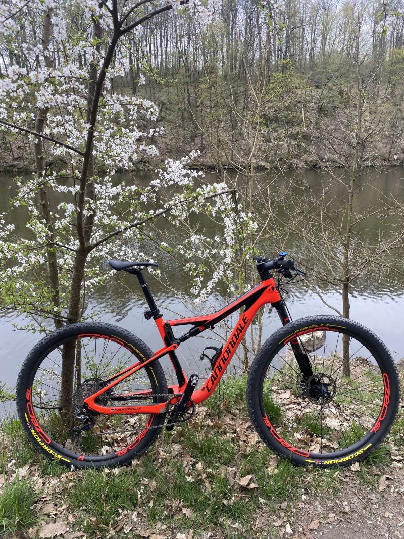 Cannondale Scalpel Hi-Mod 1