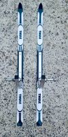 THULE Chariot Sport 2 double black
