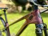 Scott Contessa Scale 920