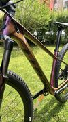 Scott Contessa Scale 920
