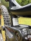 Trek Lush