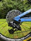 Specialized Status 160