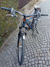 Kolo alpina 