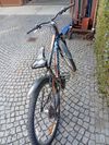 Kolo alpina 