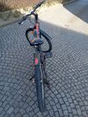 Kolo alpina 