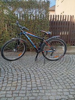 Kolo alpina 