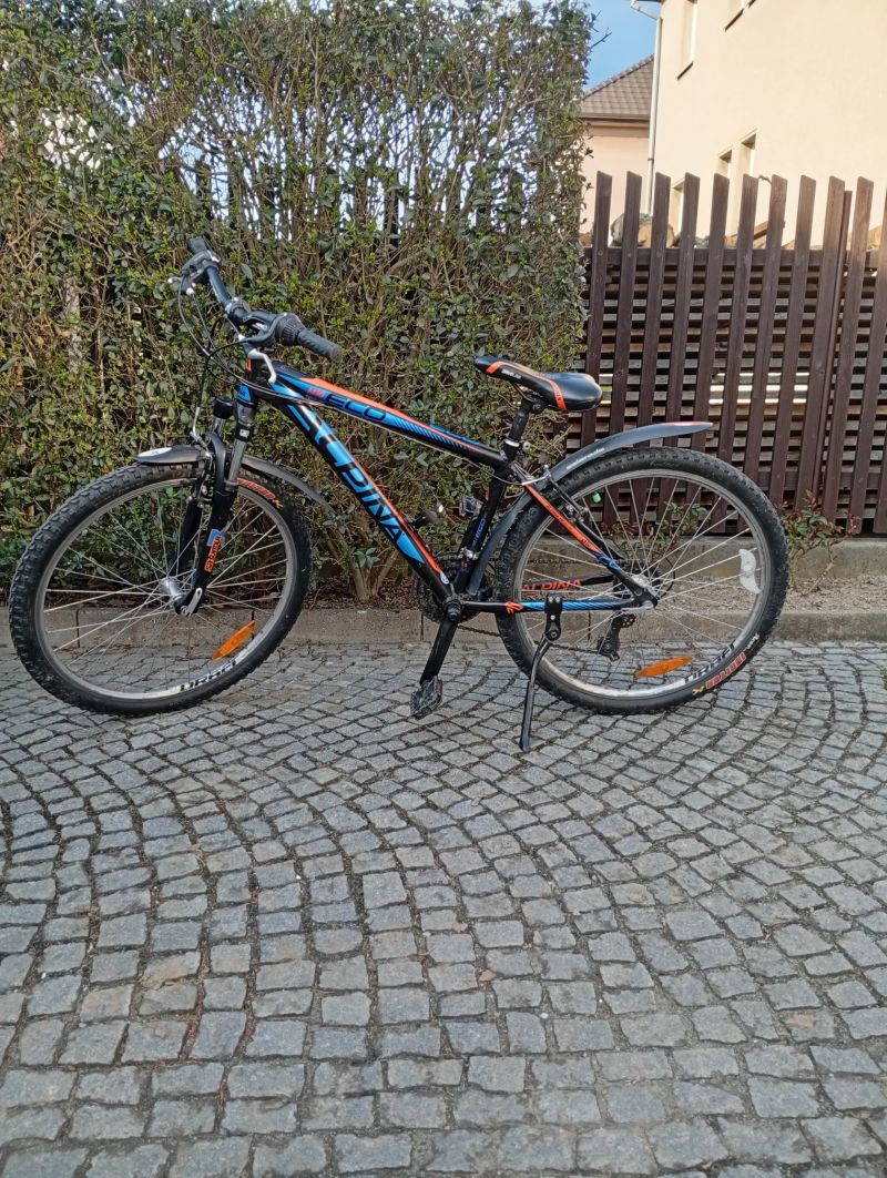 Kolo alpina 