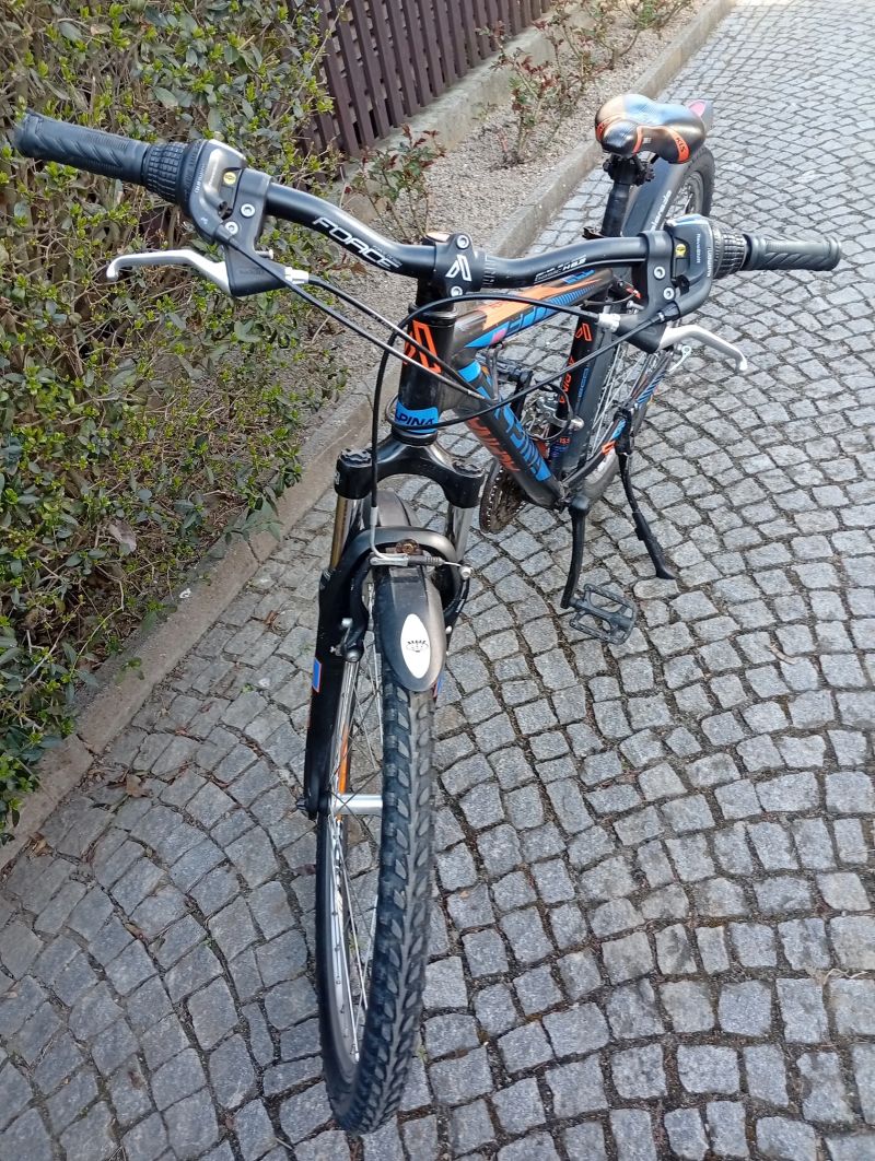 Kolo alpina 